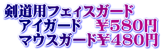 剣道用フェィスガード 　アイガード　￥580円 　マウスガード￥480円