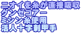 ニオイを糸が直接吸収 グンゼコアー ミシン糸使用 活人十字刺甲手