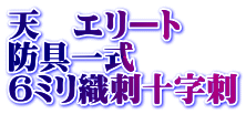 天　エリート  防具一式 6ミリ織刺十字刺